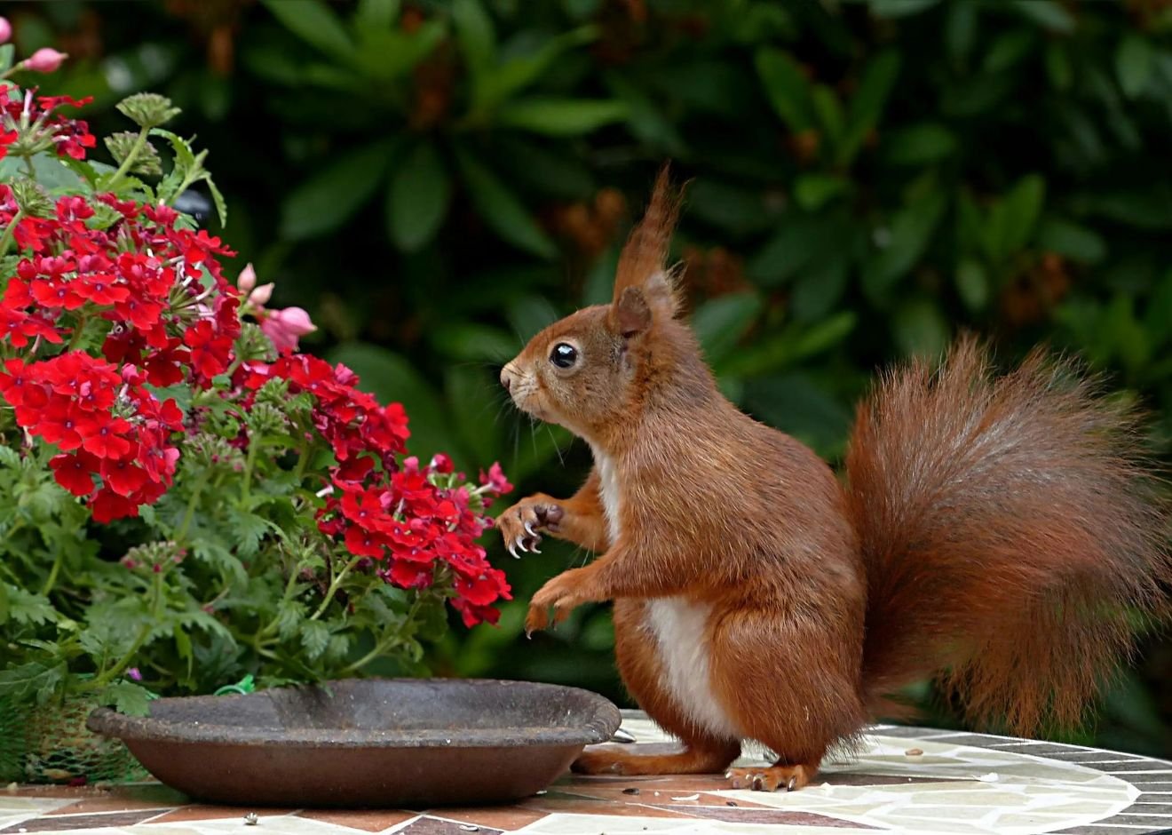 Brigade Citrine, At Budigere Cross, Bangalore, 